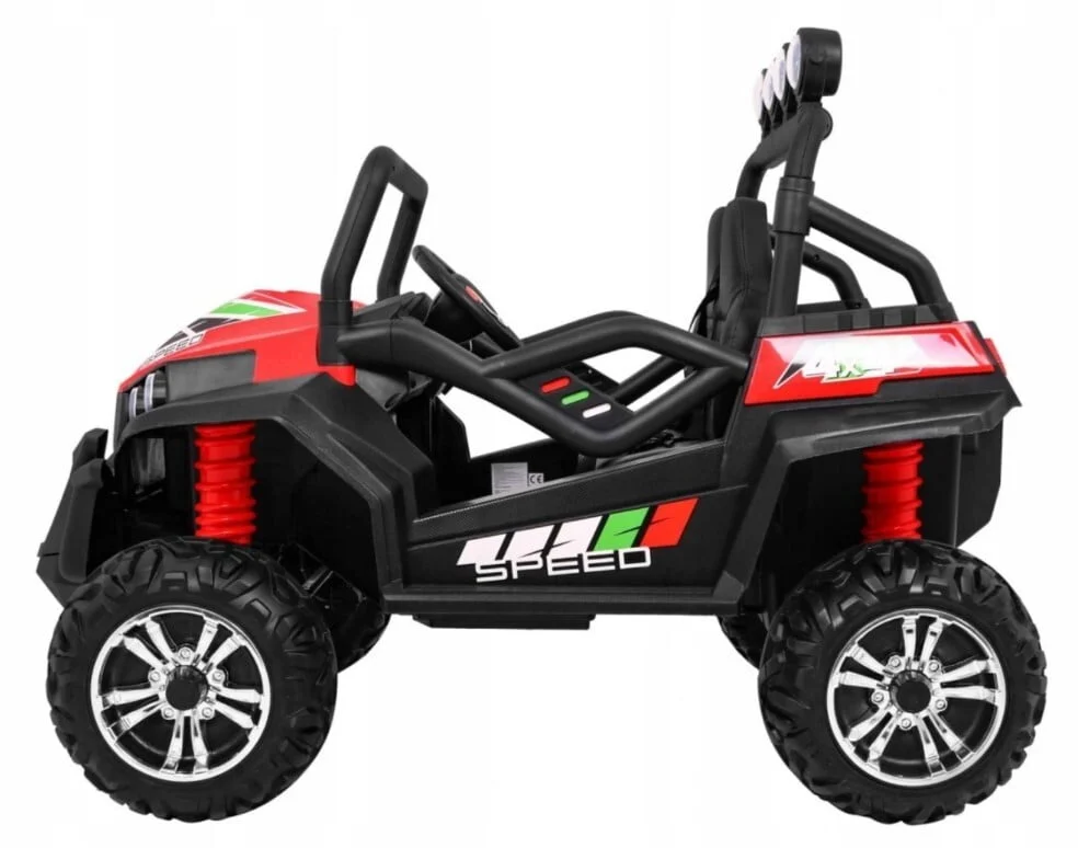 Buggy 2.jpg