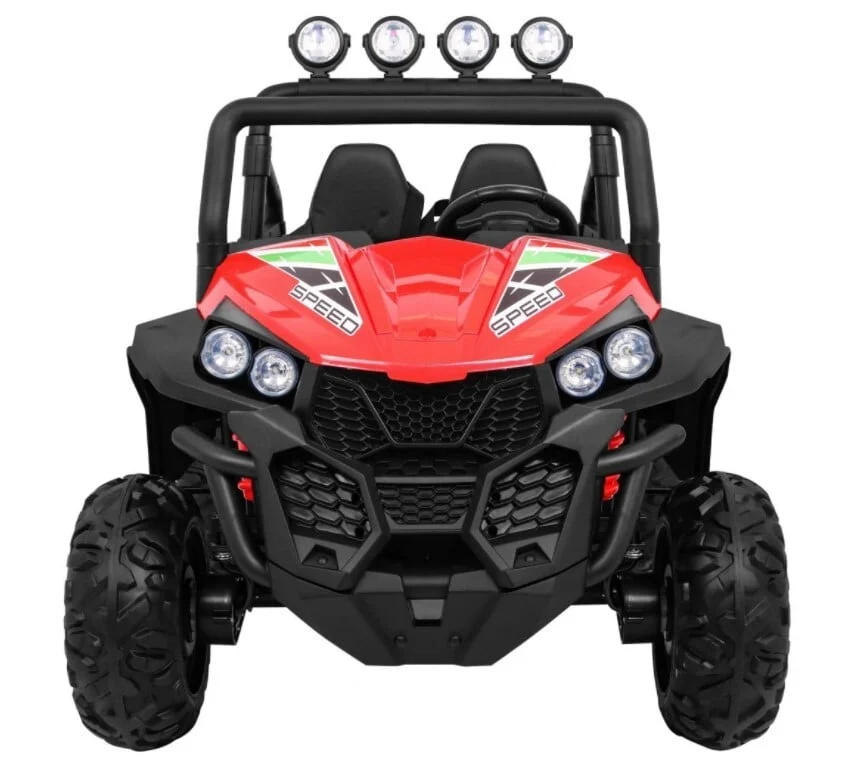 Buggy 5.jpg