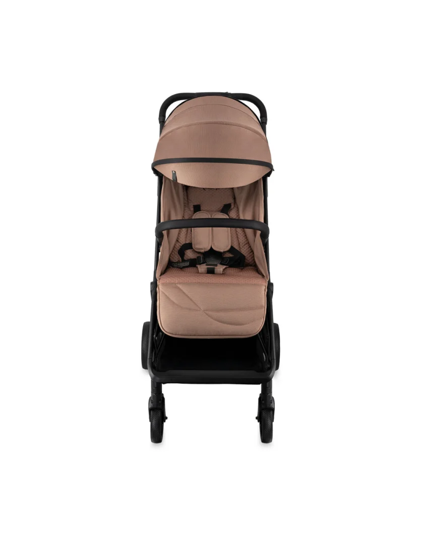Dječja Kolica Momi Andrea Truffle 4