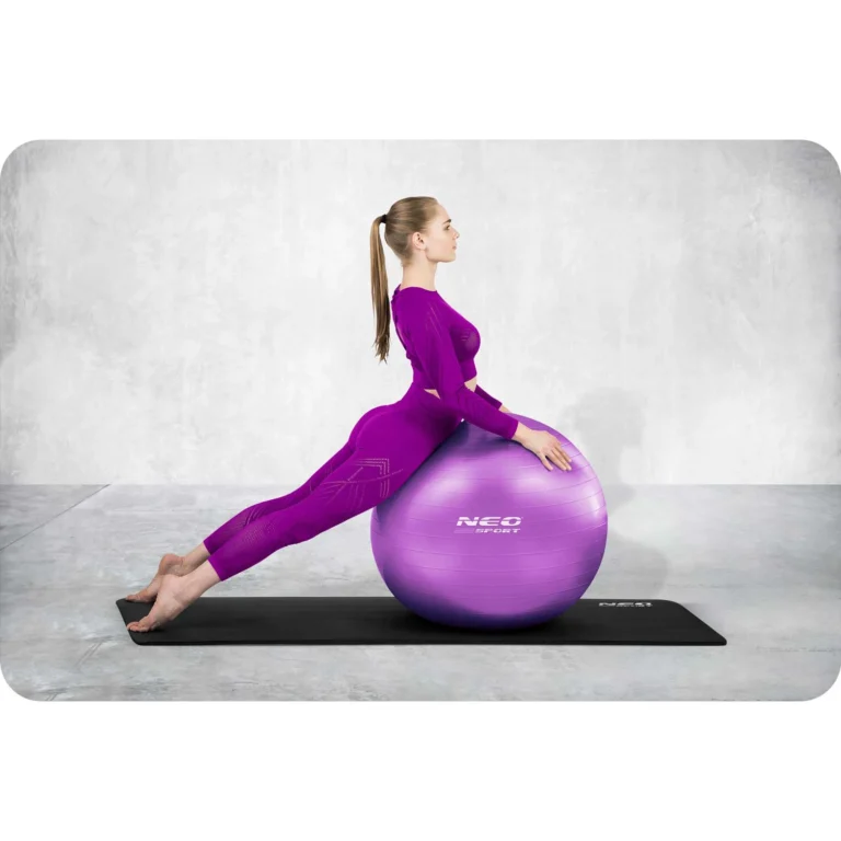 Pilates Lopta Ns 951 Purple 1