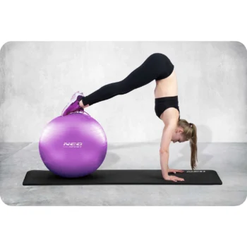 Pilates Lopta Ns 951 Purple 5