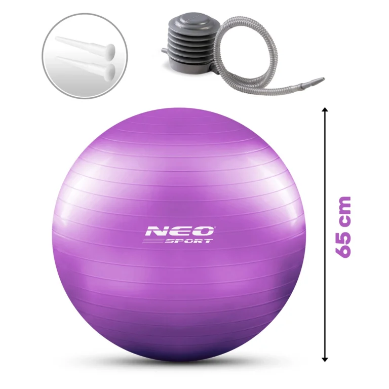 Pilates Lopta Ns 951 Purple 6