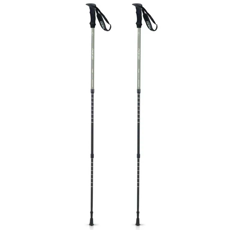 Štapovi Za Planinarenje Treck Green Neosport 1