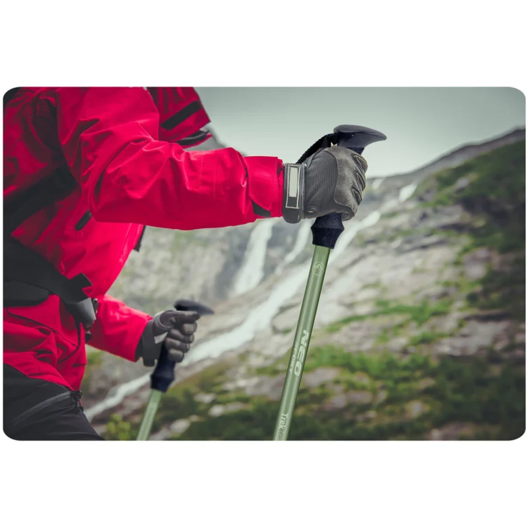 Štapovi Za Planinarenje Treck Green Neosport 10
