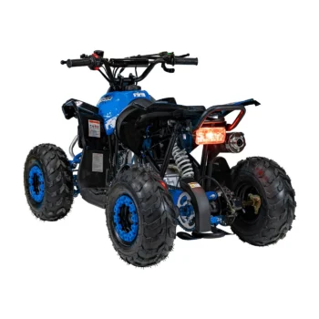 Benzinski Quad 110cc Renegade 4