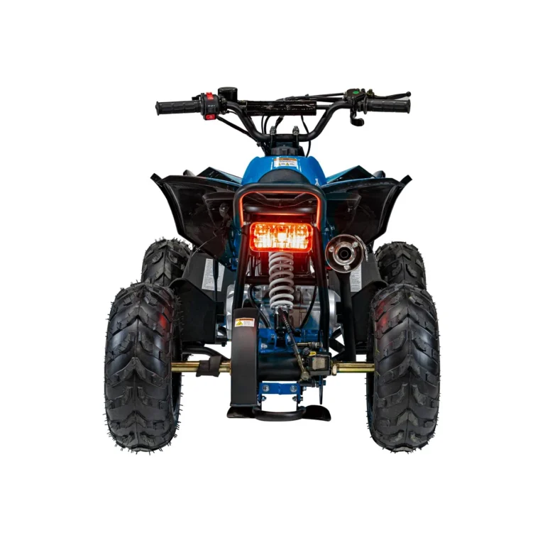 Benzinski Quad 110cc Renegade 5