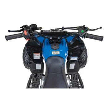 Benzinski Quad 110cc Renegade 7