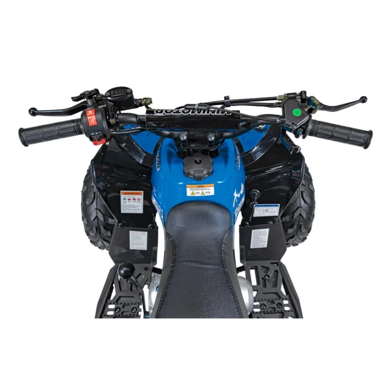 Benzinski Quad 110cc Renegade 7