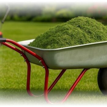 Građevinska Kolica 120l Focus Garden 2