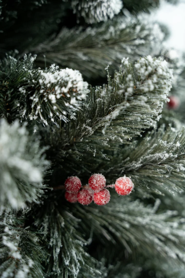 Umjetni Bor Christmas Carol 1
