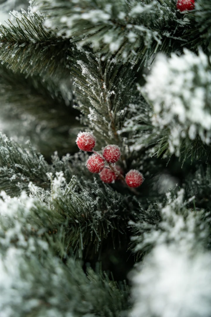 Umjetni Bor Christmas Carol 2