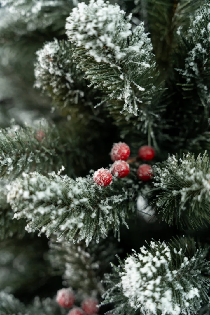 Umjetni Bor Christmas Carol 3