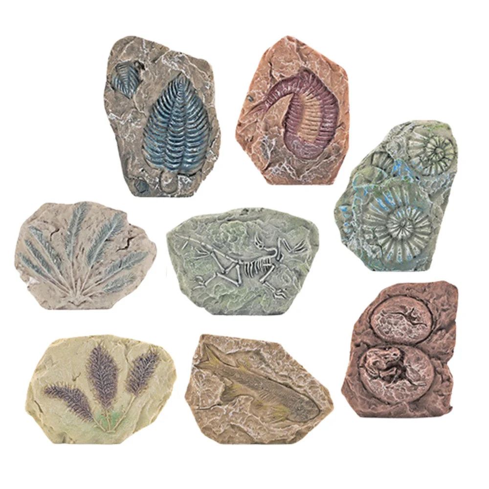 Alati za paleontološka iskapanja, gipsani blokovi_2
