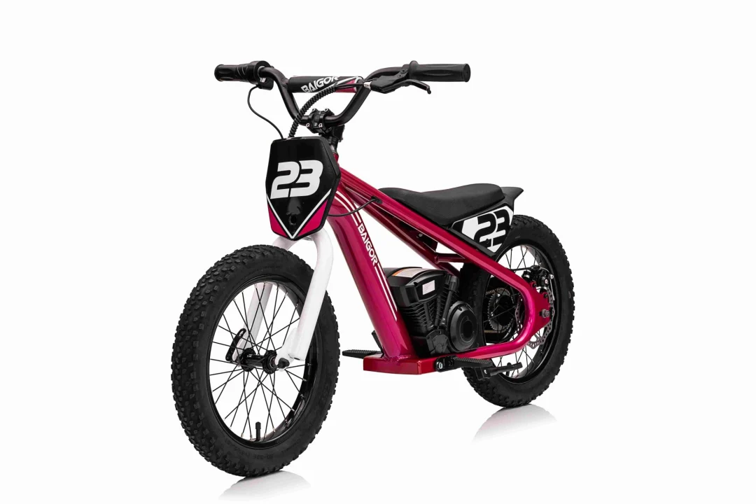 BAIGOR 23 PRO rozi motor na baterije za djecu motor na akumulator_25