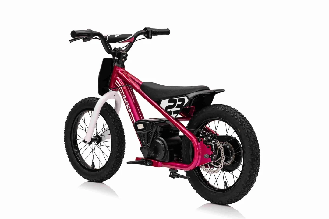 BAIGOR 23 PRO rozi motor na baterije za djecu motor na akumulator_3
