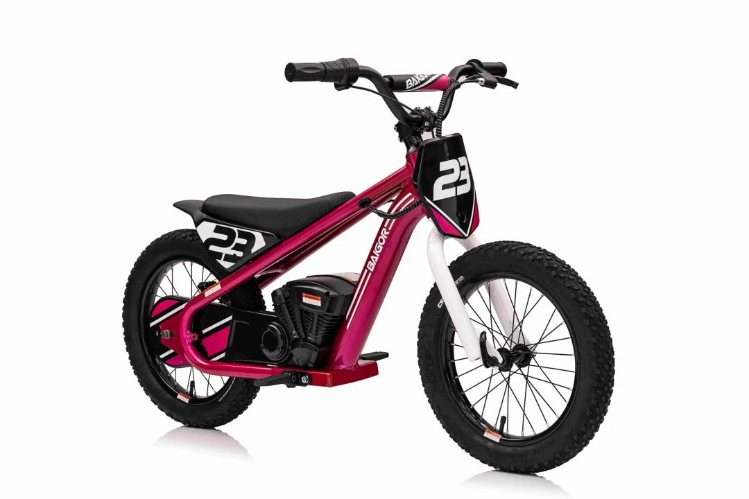 BAIGOR 23 PRO rozi motor na baterije za djecu motor na akumulator_8