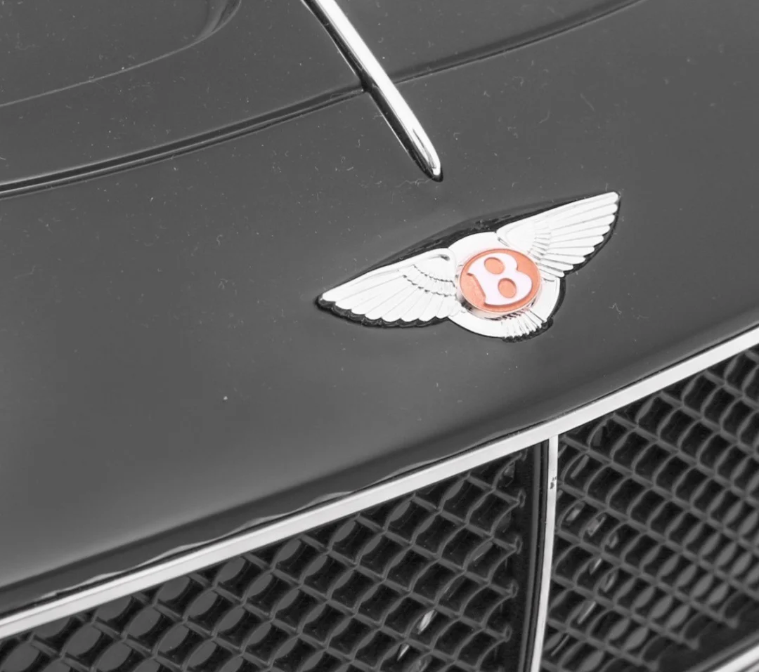 Bentley EXP 12 auto na akumulator s RC, crni_14