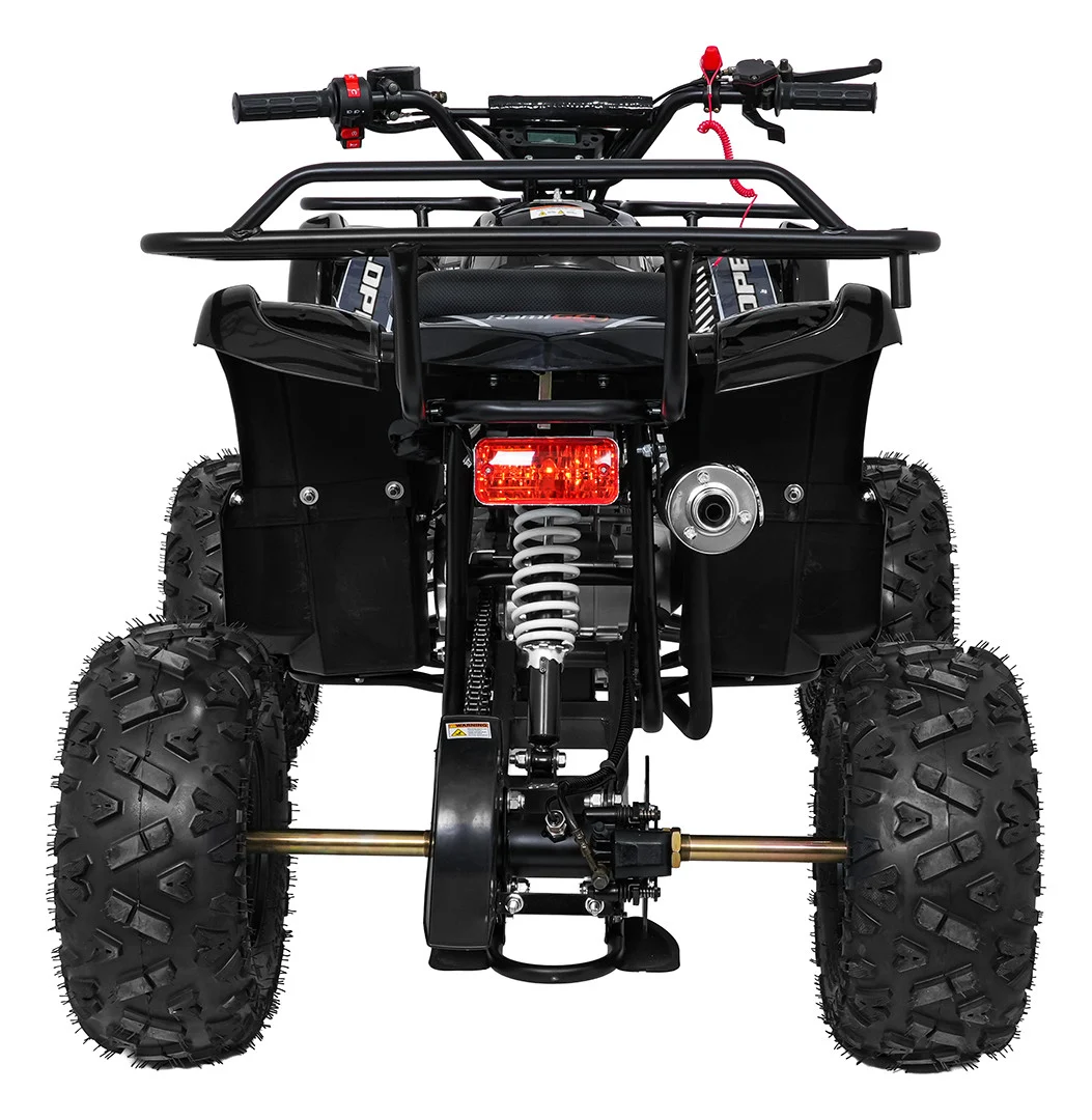 Benzinski quad WILDPEAK 110cc crni_7