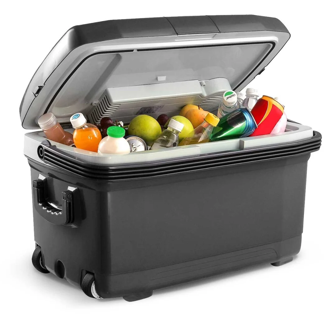 Berdsen Icemax putni hladnjak od 50 litara, siva_2