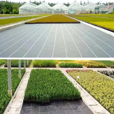 Crni agrotekstil protiv korova 110 cm × 50 m 135 g/m² + sidra_2