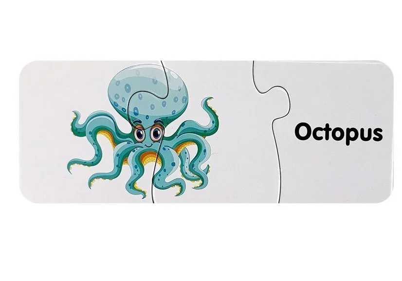 Edukativna zagonetka Svijet oceana, 10 veza_11