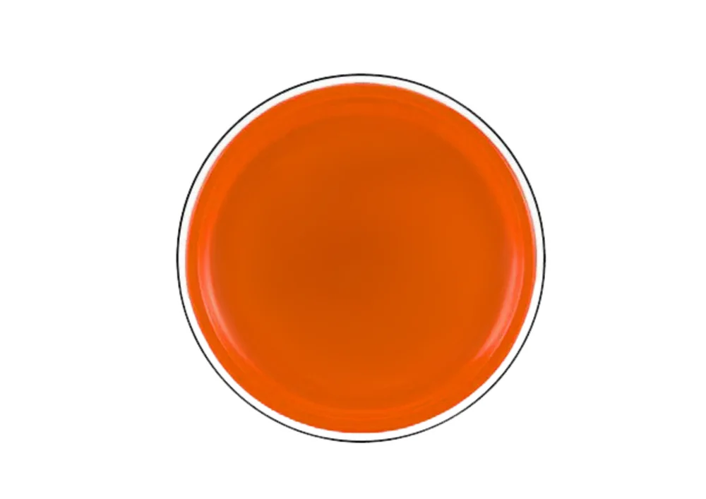 Leteći disk frizbi s dinosaurom narančasti Ø 20 cm_3