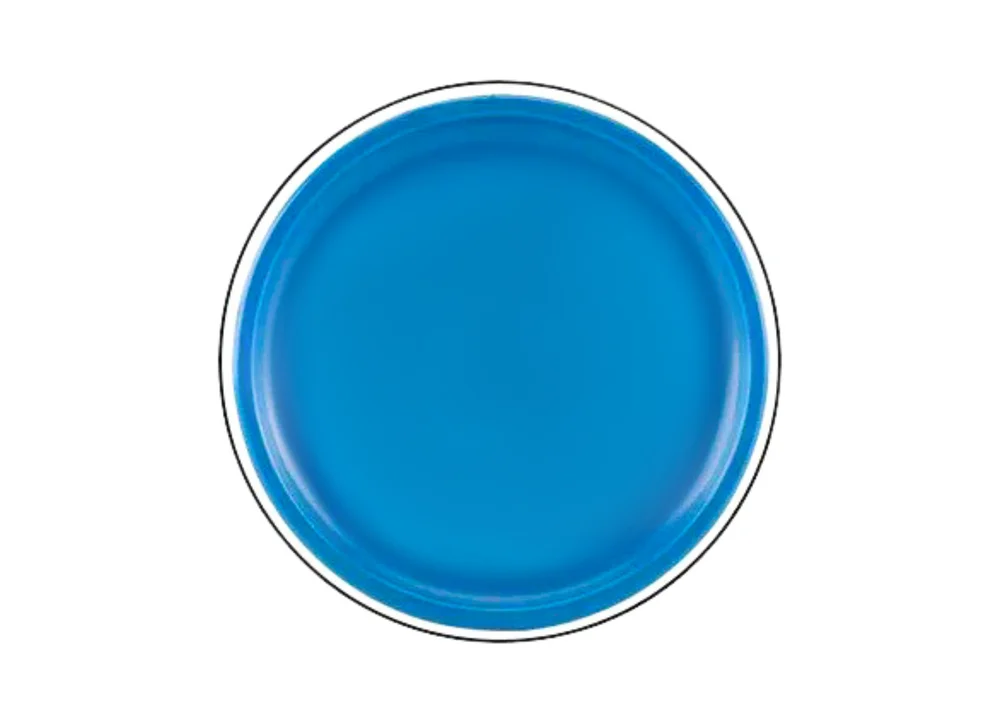 Leteći disk frizbi s dinosaurom plavi Ø 20 cm_3