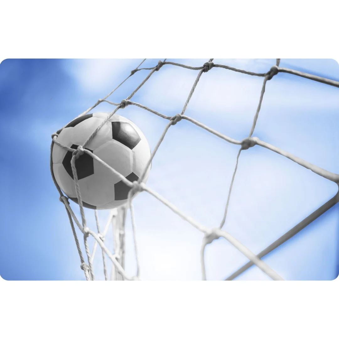 Mreža za nogometni gol Neo-Sport, 300 × 200 × 120 cm_4