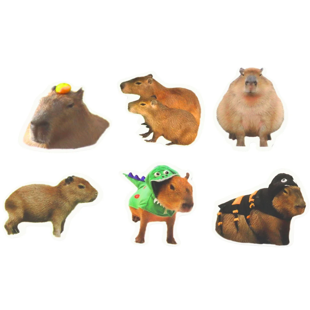 Naljepnice capybara s fotografijama, 50 komada_2