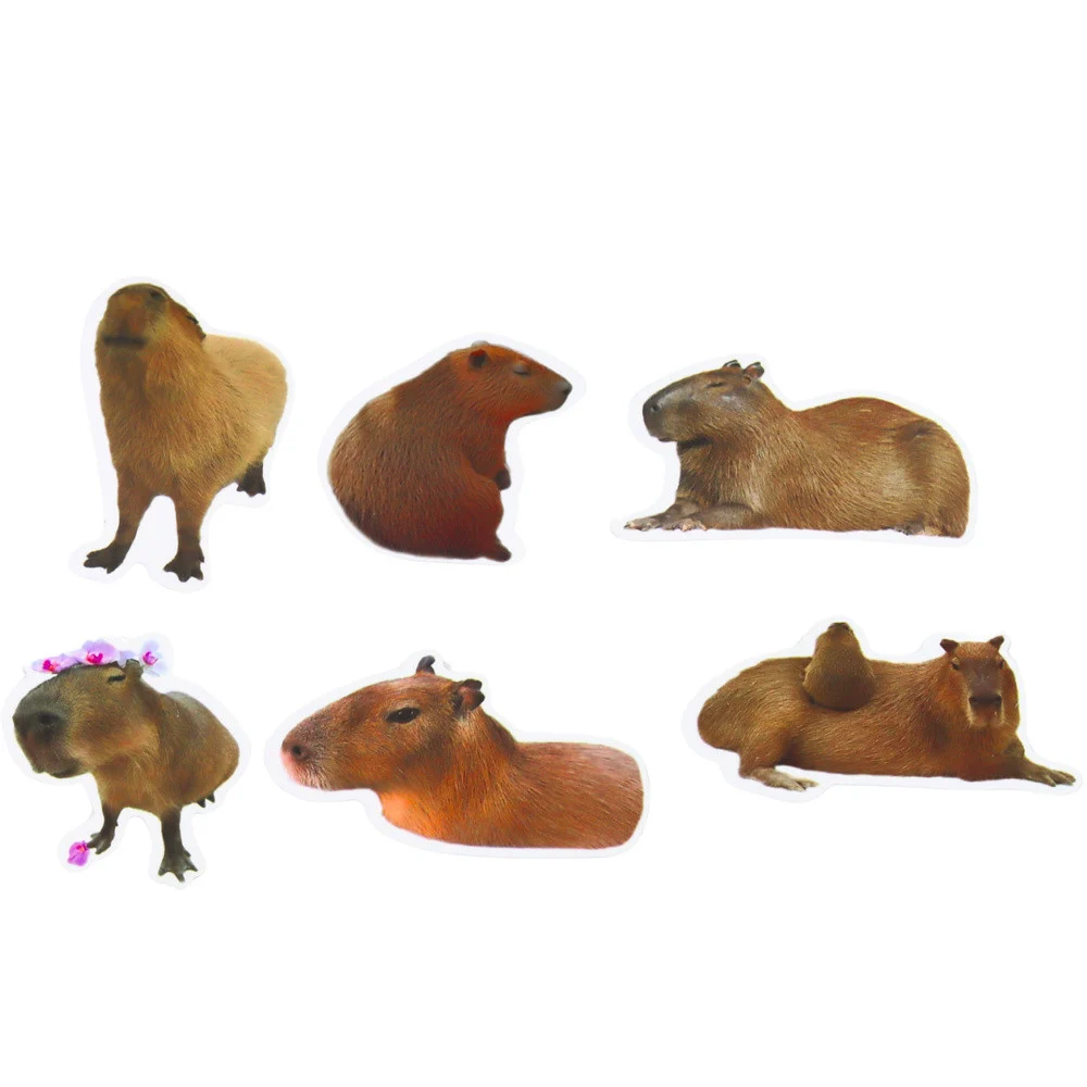 Naljepnice capybara s fotografijama, 50 komada_3
