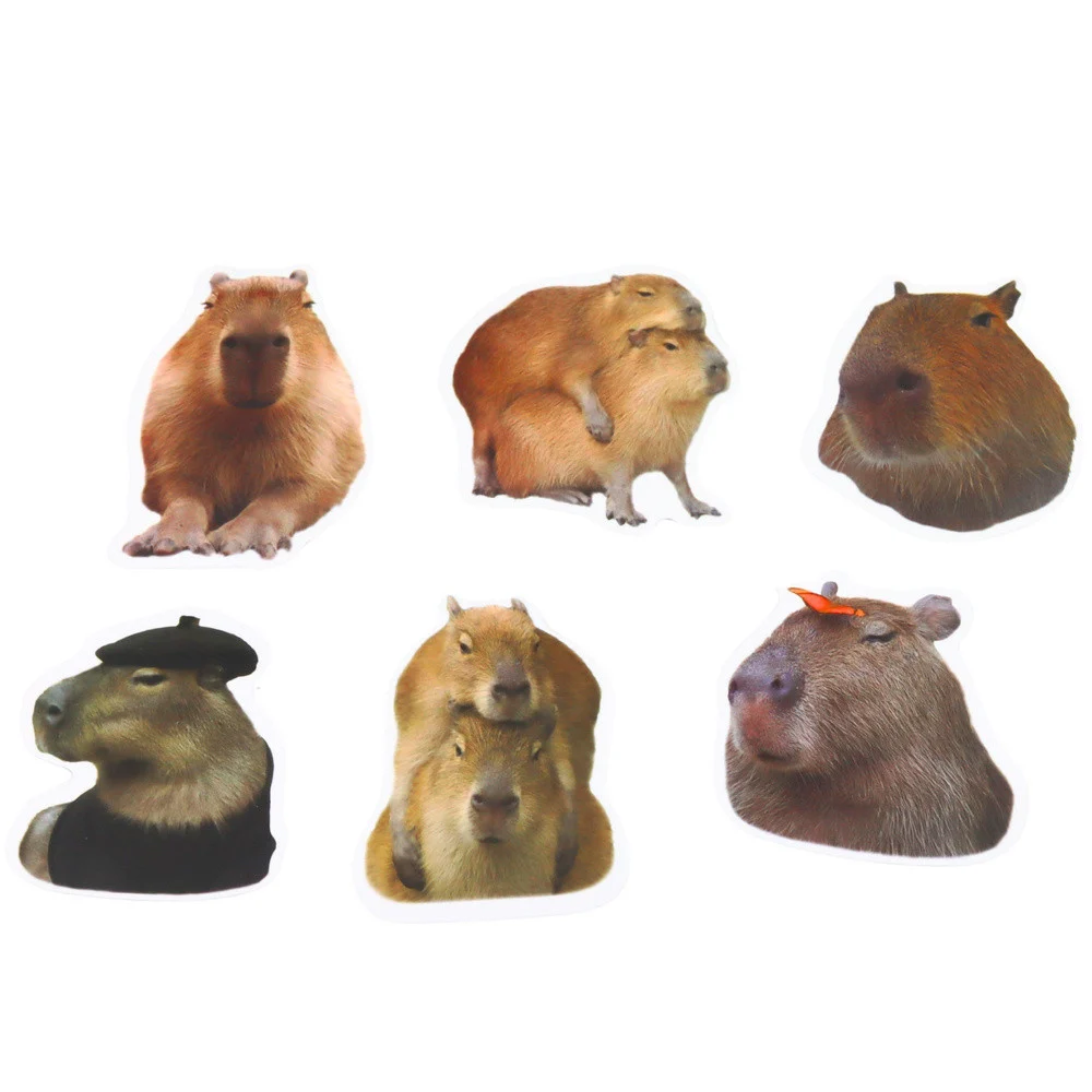 Naljepnice capybara s fotografijama, 50 komada_4