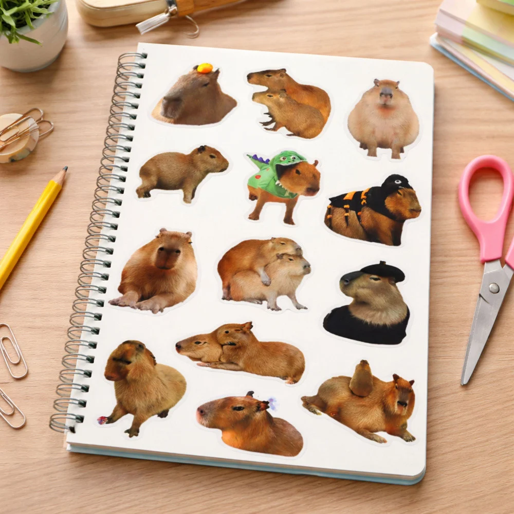 Naljepnice capybara s fotografijama, 50 komada_5