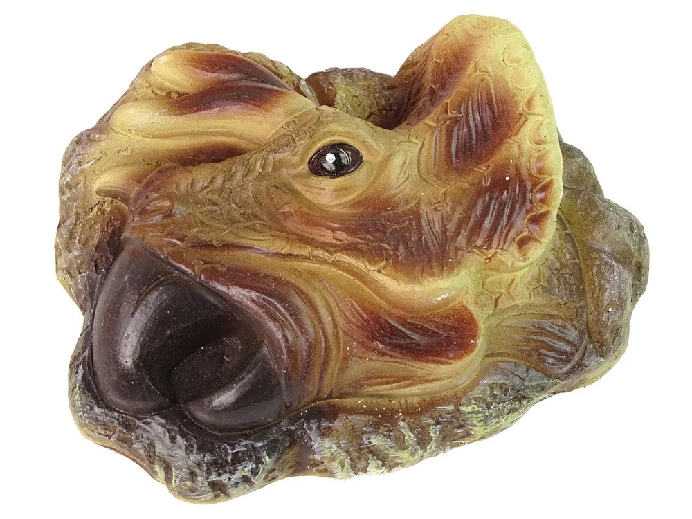 Obrazovni komplet za iskapanje dinosaura Triceratopsa_3