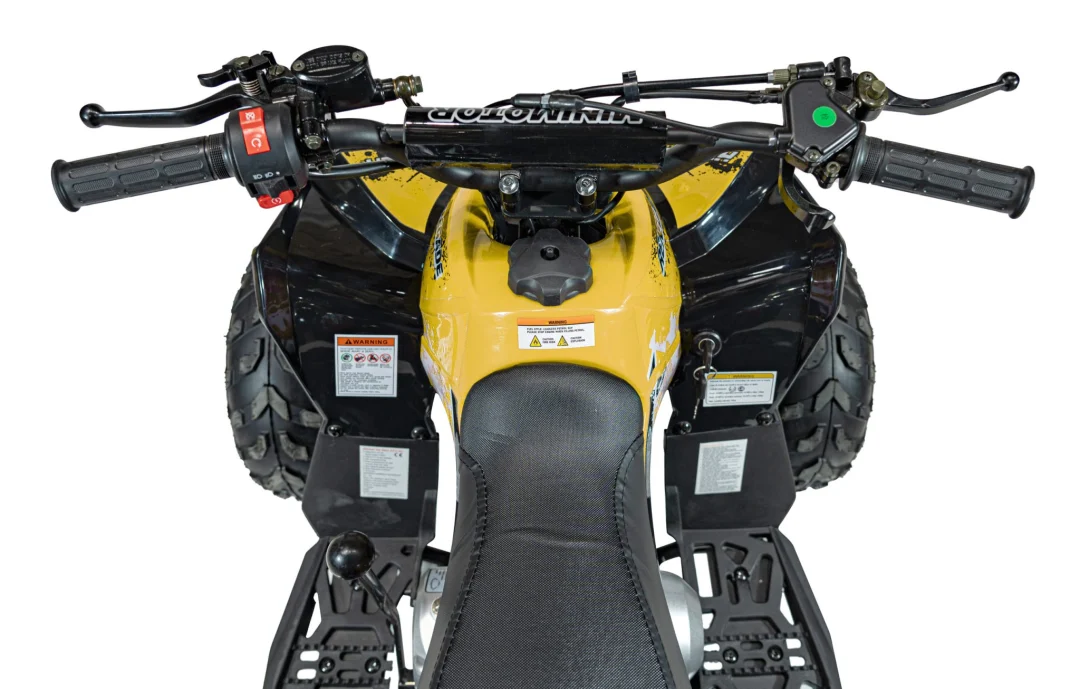 RENEGADE 110CC benzinski quad žuti_11