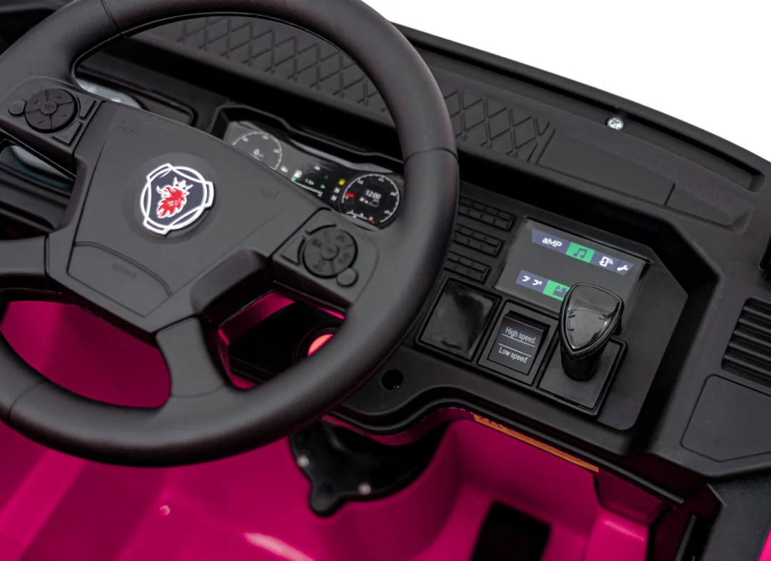 Scania R-SERIE ružičasto vozilo_14