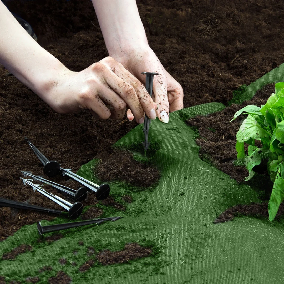Vrtni agrotekstil 1,6 m x 100 m + 100 Plonos iglica - zeleni (490200)_2