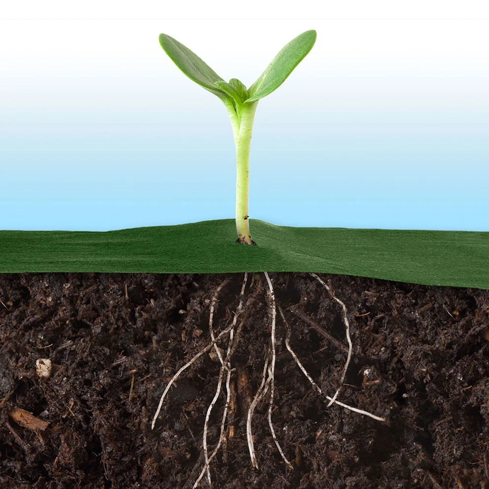 Vrtni agrotekstil 1,6 m x 50 m + 100 Plonos iglica - zeleni (490201)_6