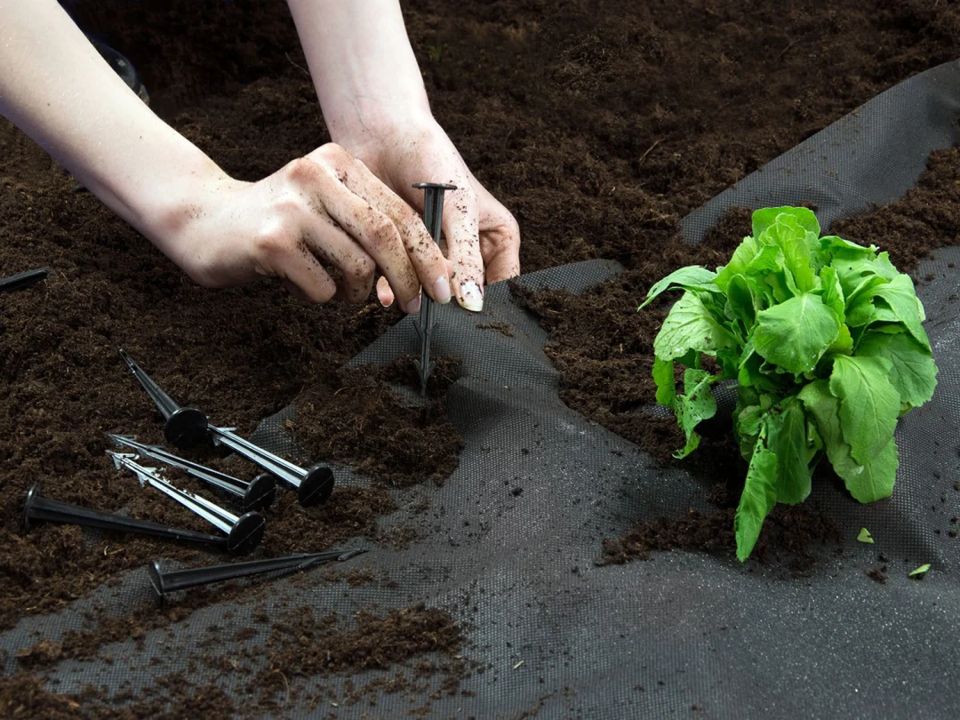 Vrtni agrotekstil 1,6 m × 50 m + 100 klinova Plonos_5