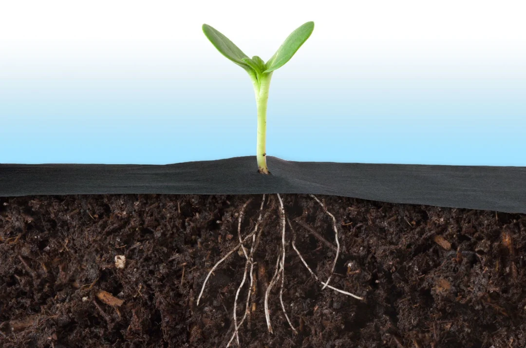 Vrtni agrotekstil 1,6 m × 50 m + 100 klinova Plonos_7