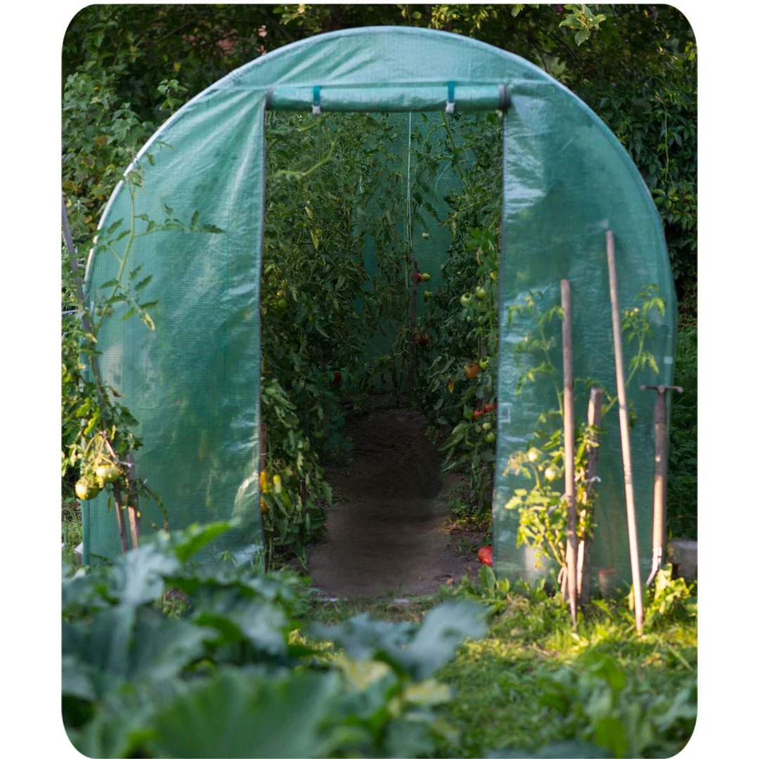 Vrtni tunel 3 x 6 m (18 m2) Plonos, zelena_11