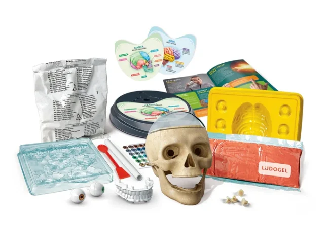 Znanstveno-zabavni ludi komplet za anatomiju na poljskom jeziku Clementoni 50697_3