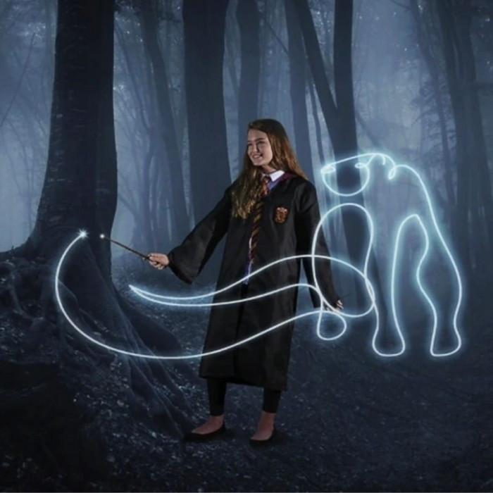 Čarobni štapić Harry Potter_2