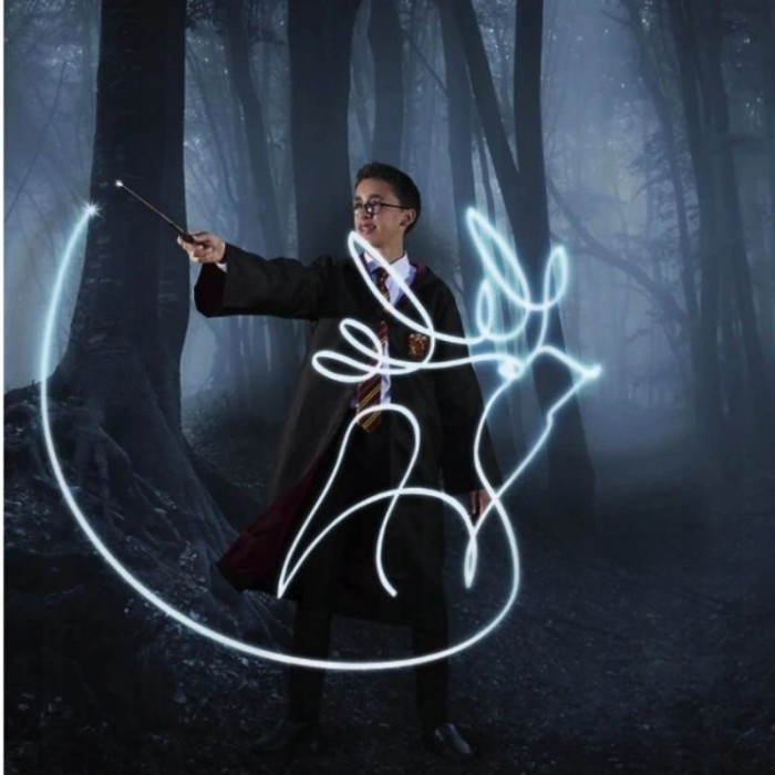 Čarobni štapić Harry Potter_5