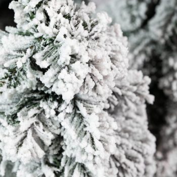 Umjetni Bor Amelija Snowy 2