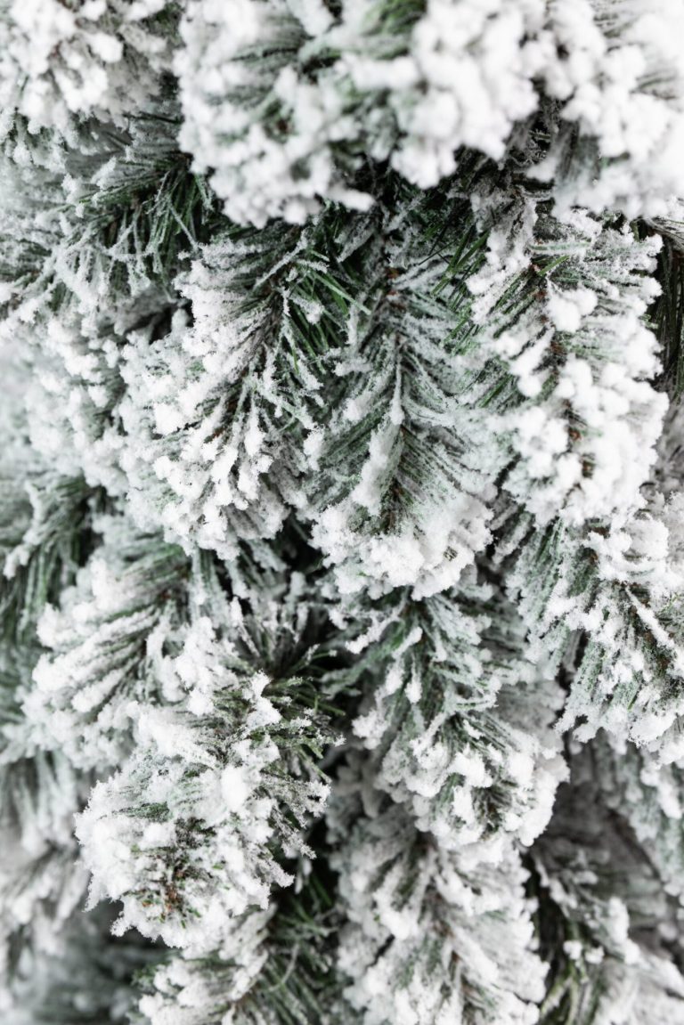 Umjetni Bor Amelija Snowy 3