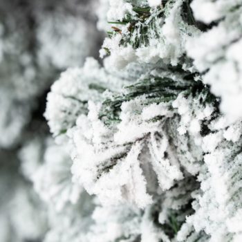 Umjetni Bor Amelija Snowy 5