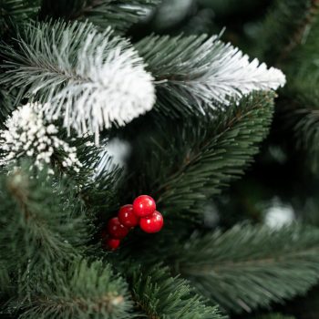 Umjetni Bor Iza Cranberry Pine 1