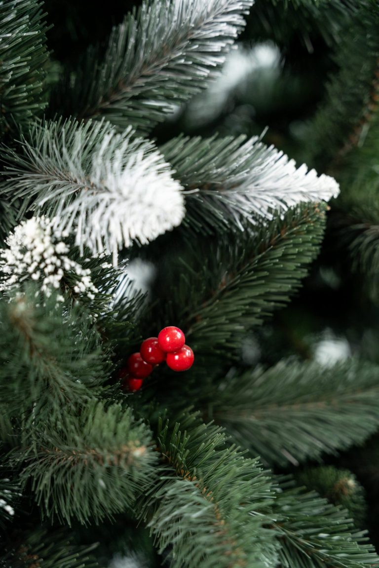 Umjetni Bor Iza Cranberry Pine 1