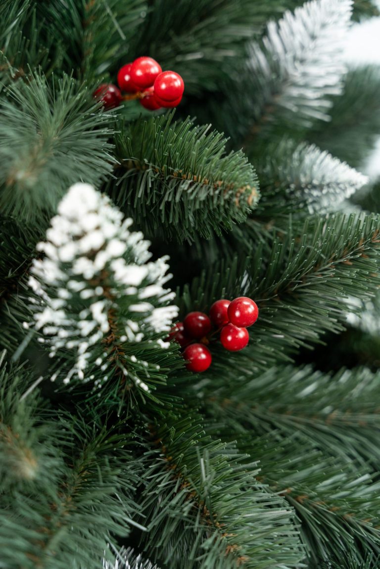 Umjetni Bor Iza Cranberry Pine 2