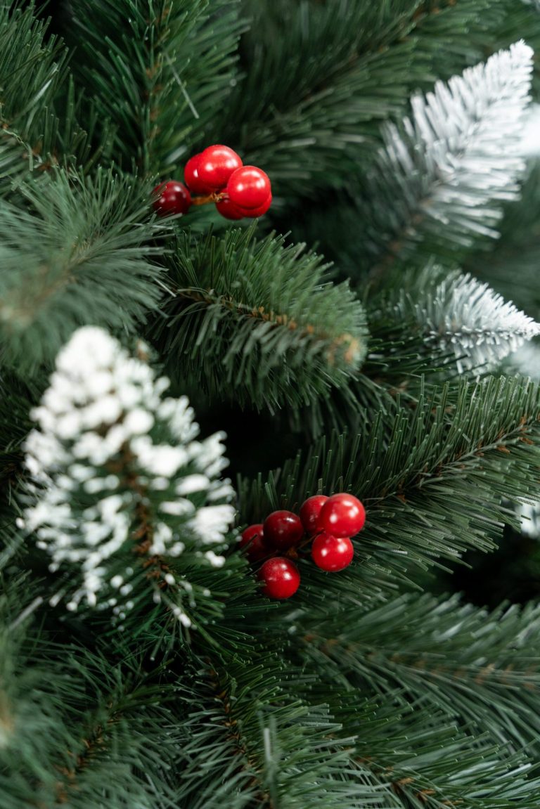 Umjetni Bor Iza Cranberry Pine 3